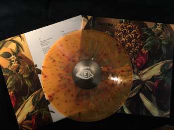 LP Thelema: Stilllife LTD | CLR