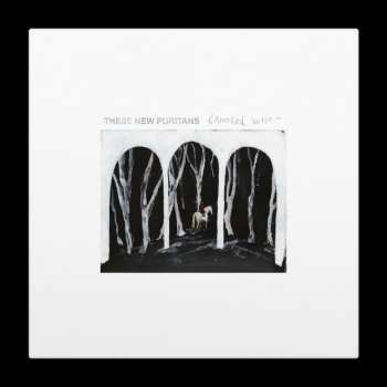 LP These New Puritans: Crooked Wing CLR