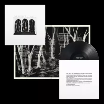 These New Puritans: Crooked Wing