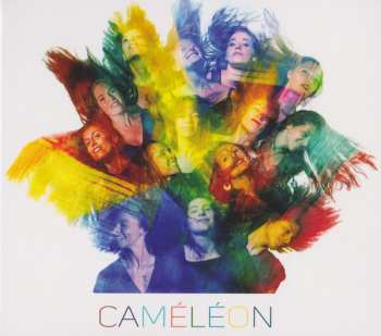 Album Thierry Maillard Ensemble: Caméléon