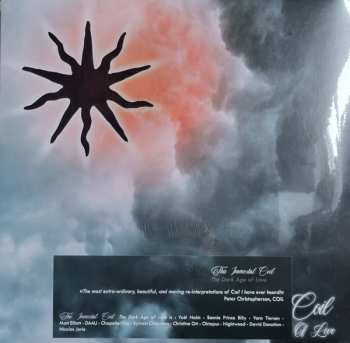 2LP This Immortal Coil: The Dark Age Of Love