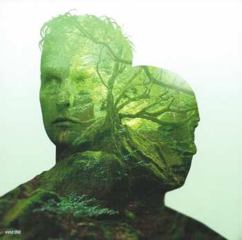 2CD This Morn' Omina: Kundalini Rising
