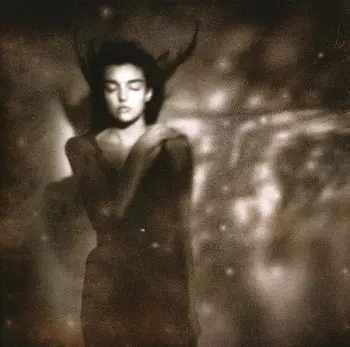 This Mortal Coil: It'll End In Tears