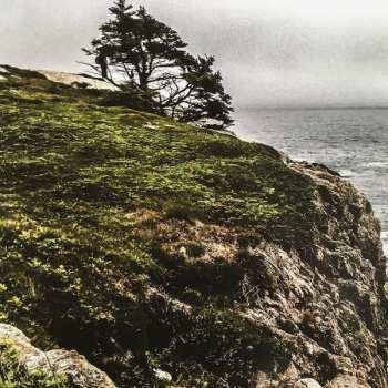 LP Thisquietarmy: The Body And The Earth CLR
