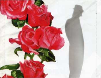 CD Thomas Fersen: Le Pavillon Des Fous