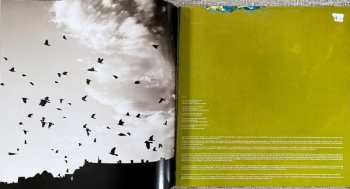 LP Thrice: Beggars CLR | LTD