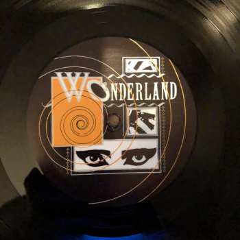 LP Siouxsie & The Banshees: Through The Looking Glass