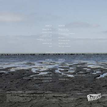 2LP Thysenterprise: ESSENTIAL