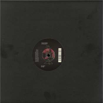 LP Tiger Stripes: Into Desolation