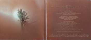 CD Tim Kinsella: Giddy Skelter