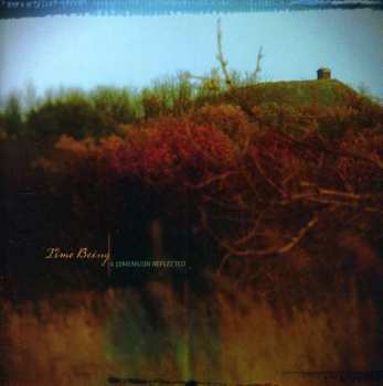Album Time Being: A Dimension Reflected