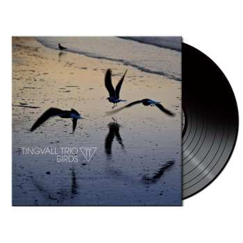LP Tingvall Trio: Birds (180g) (black Vinyl)