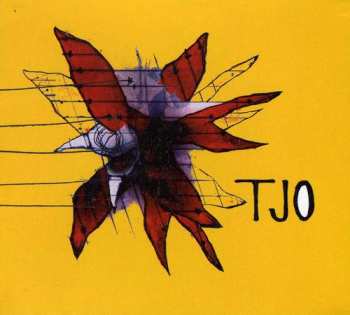 Album Tara Jane O'Neil: A Raveling