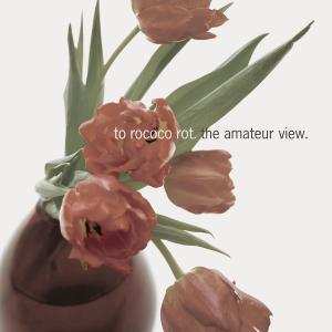 Album To Rococo Rot: The Amateur View