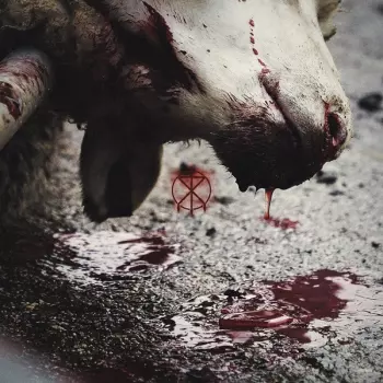 To The Grave: Director's Cuts