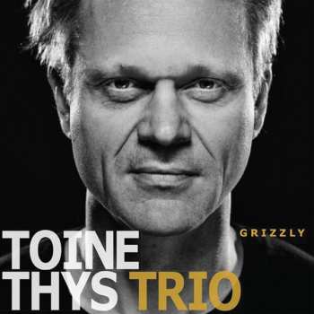 Album Toine Thys Trio: Grizzly
