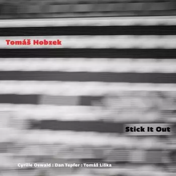 Tomáš Liška: Stick It Out