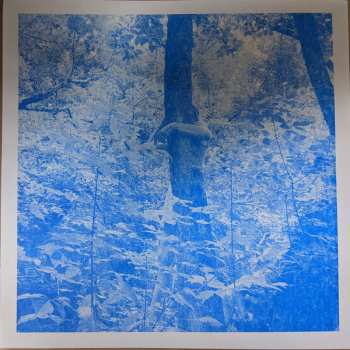 LP Tomberlin: Projections LTD | PIC