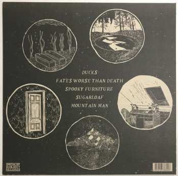 LP Toodles & The Hectic Pity: Ghosts, Guilt And Grandparents LTD