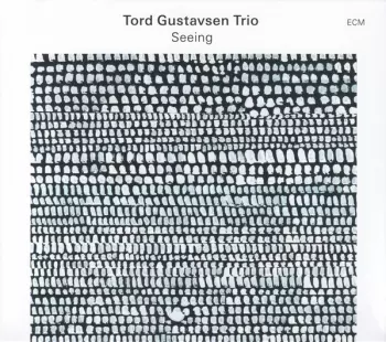 Tord Gustavsen Trio: Seeing