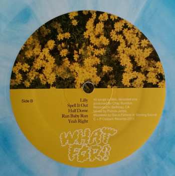LP Toro Y Moi: What For? LTD | DLX | CLR