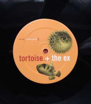 LP The Ex: In The Fishtank