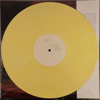 LP Tortoise: It's All Around You LTD | CLR