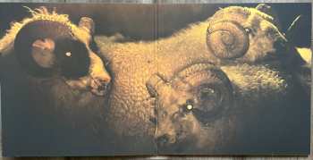 LP Tóti Guðnason: Lamb (Original Motion Picture Soundtrack) CLR