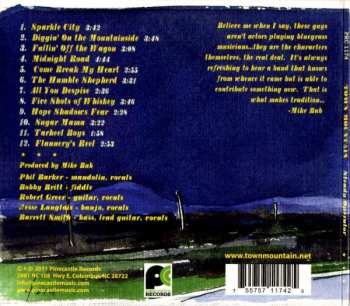 CD Town Mountain: Steady Operator
