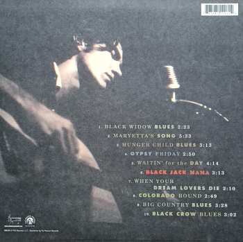 LP Townes Van Zandt: In The Beginning...