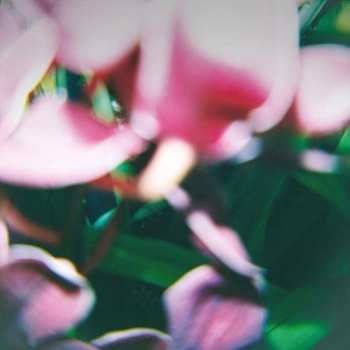 Album Trade Wind: You Make Everything Disappear
