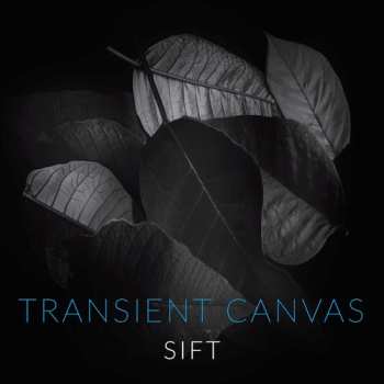 Album Transient Canvas: Sift