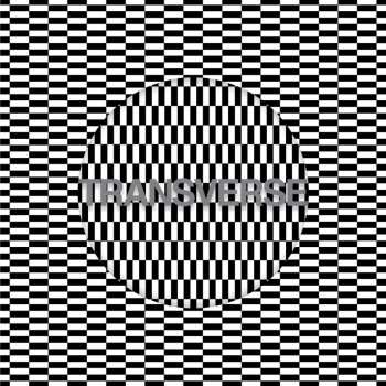 Album Carter Tutti Void: Transverse