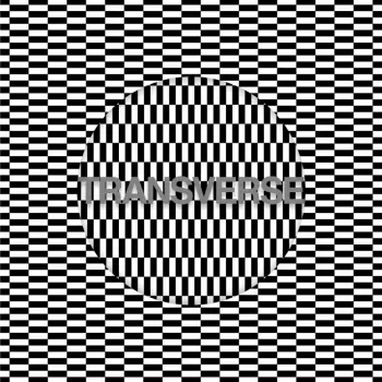 Carter Tutti Void: Transverse