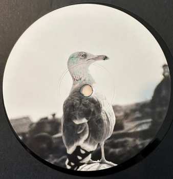 LP Tren: The Passages Through Space And Time