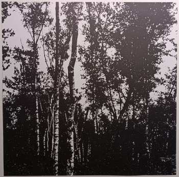 2LP Trha: ∫um'ad∂ejja Cavvaj CLR | LTD