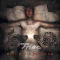 CD Triac: Dead House Dreaming