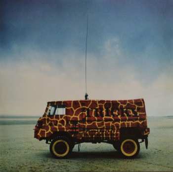 LP Tricky: Maxinquaye