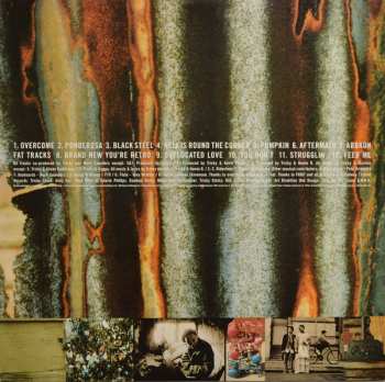 LP Tricky: Maxinquaye