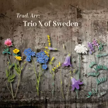 Trio X: Trad. Arr: