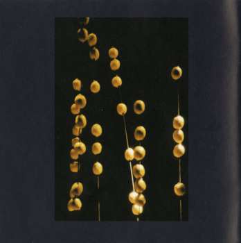 CD Trygve Seim: The Source And Different Cikadas