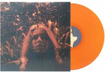 LP Turnover: Peripheral Vision LTD