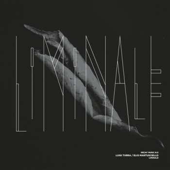 Album Turra,luigi / Martusciello,elio: Decay Music N9: Liminale