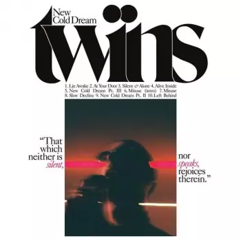 Twins: New Cold Dream