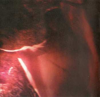 CD Bat For Lashes: Two Suns