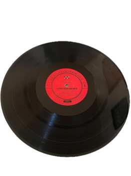 LP Ty Segall: Love Rudiments