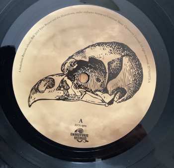 LP Tyler Bryant & The Shakedown: Truth And Lies