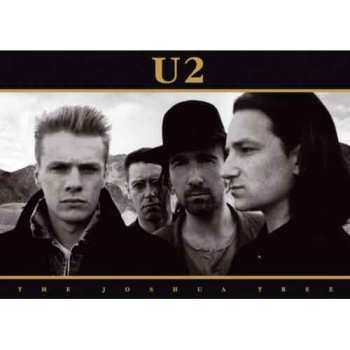 Merch U2: Ansichtkaart Joshua Tree