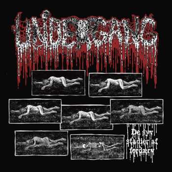 Album Undergang: De Syv Stadier Af Fordaerv