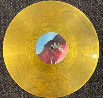 2LP Unknown Mortal Orchestra: V LTD | CLR